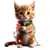 Новогодний котик 10 шт.